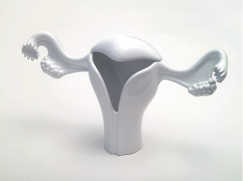 uterus-vase1